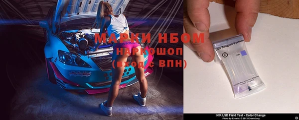 гашик Аркадак