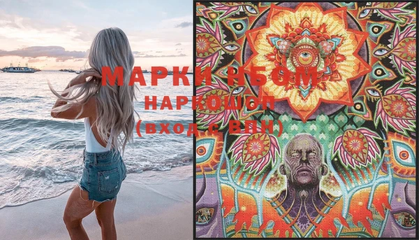 гашик Аркадак