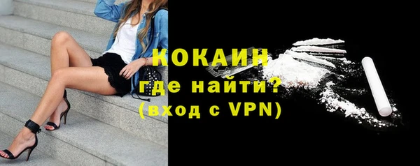 гашик Аркадак