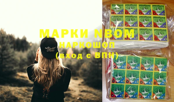 гашик Аркадак