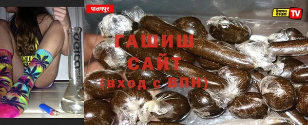 гашик Аркадак