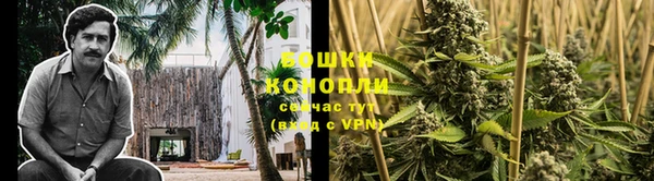 гашик Аркадак